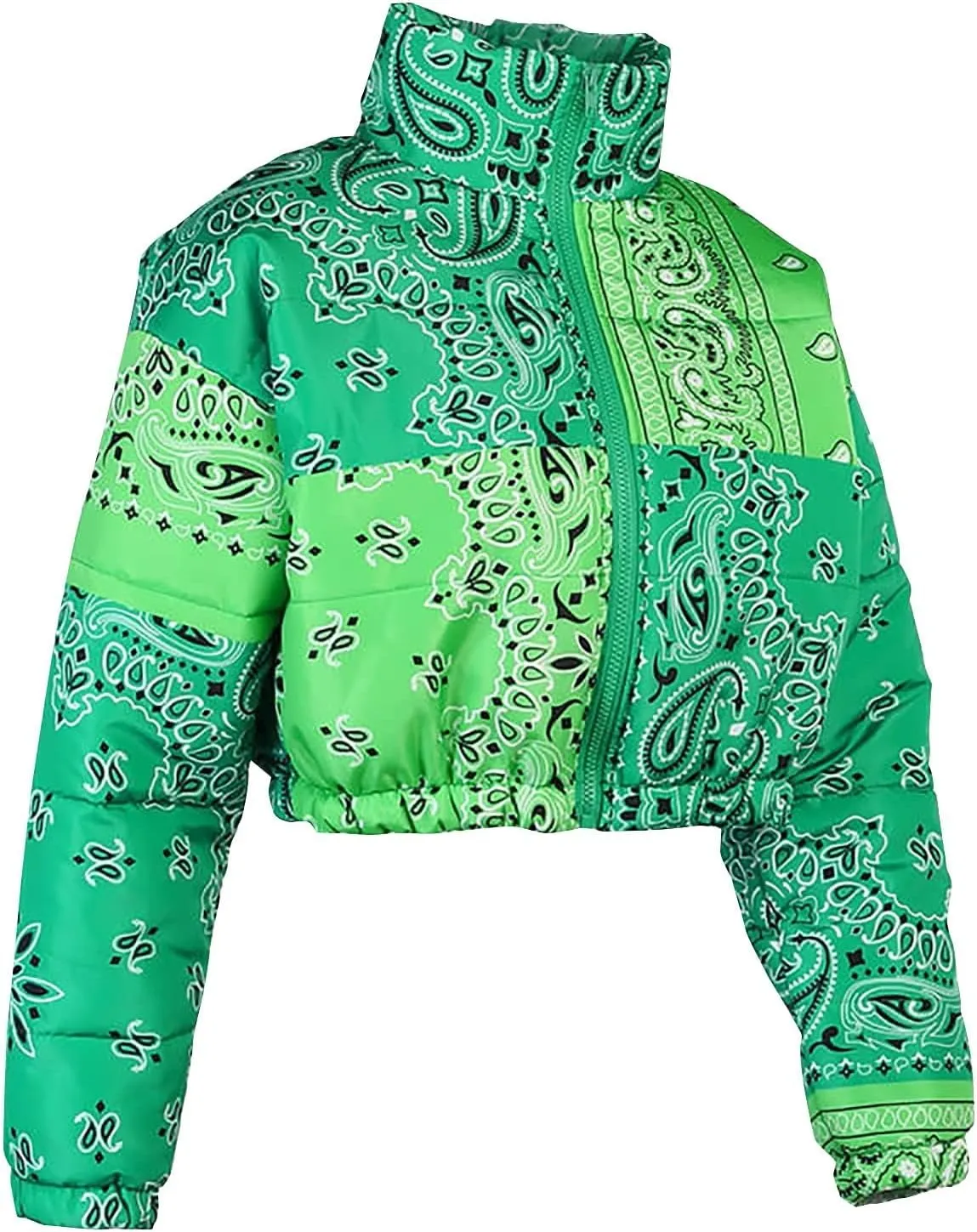 Women's Short Down Coats Lightweight Zipper Stand Collar Printed Winter Thickened Cropped Down Puffer Jackets Pockets